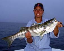 Snowfly Charters