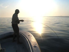 Snowfly Charters